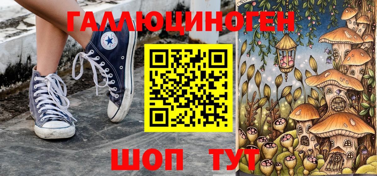 Железноводск  Псилоцибиновые грибы Psilocybine cubensis  Вход с VPN 