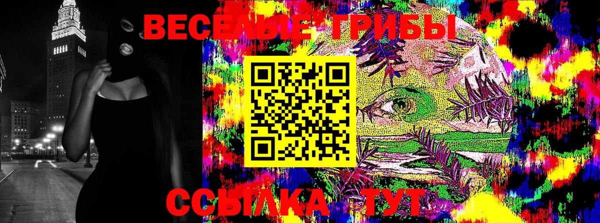 Псилоцибиновые грибы Cubensis Железноводск